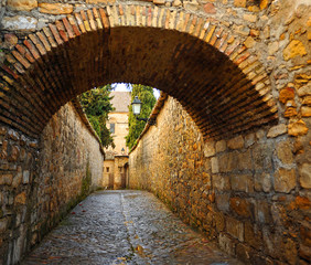 Obraz premium Medieval street in Baeza. Renaissance city in the province of Jaén. World heritage site by Unesco. Andalusia, Spain