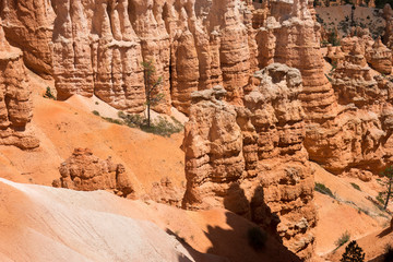 landscape on the bryce canyon in the united states of america