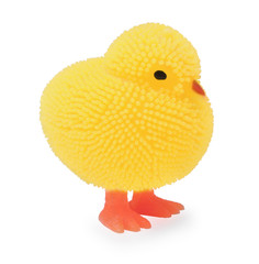 Rubber toy chicken isolated on white