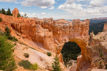 landscape on the bryce canyon in the united states of america