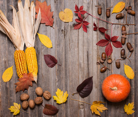 Pumpkin, nuts, acorns, corn and autumn leaves on a old weathered wood. Fall concept.