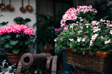 Typical andalusian courtyard in Cordoba, Andalusia Spain