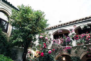 Typical andalusian courtyard in Cordoba, Andalusia Spain