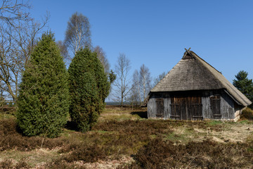 Fototapeta na wymiar Bauernhof in der Lüneburger Heide