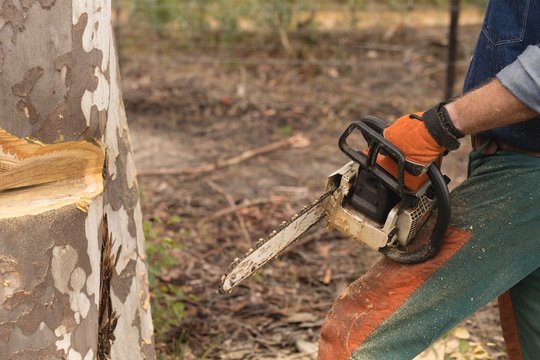 Lumberjack with chainsaw cutting tree trunk in forest - Powered by Adobe