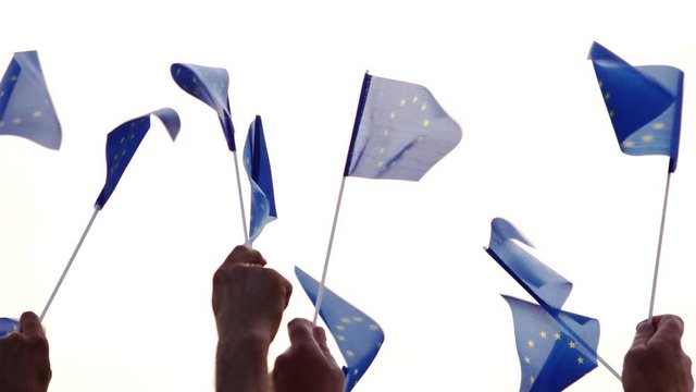 Group of people holding flags of European Union. Group of patriotic people with EU flags, back view. People and patriotism concept.