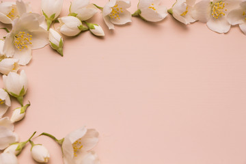 Fototapeta na wymiar Jasmine flowers on pink wooden background. Frame. Top view