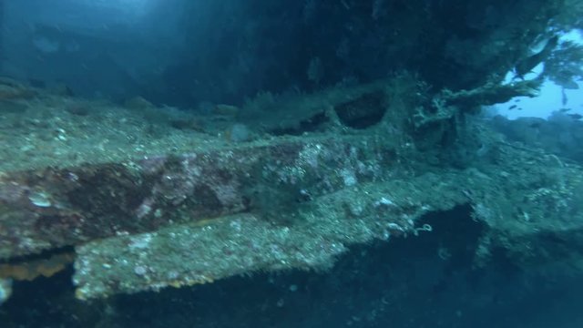 Scuba diver swim inside in the shipwreck USAT Liberty - Bali, Oceania, Indonesia