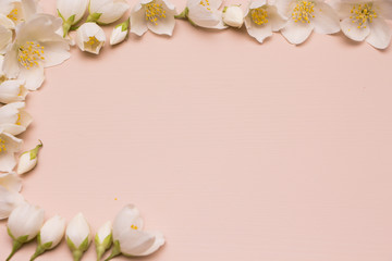 Jasmine flowers on pink wooden background. Frame. Top view