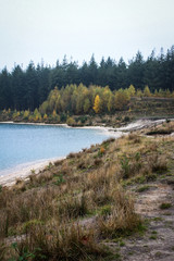 Fototapeta na wymiar landscape with lake and forest