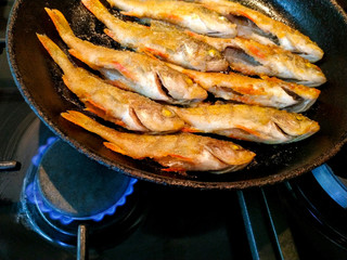 Fried perch fish carcass in breading flour.