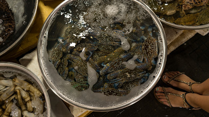 Vietnamese seafoodmarket with different fishes, oysters,crabs,sharks and many others sea creatures. Wonderful place for tourists in Vietnam who wants to buy some exotic food.The gifts of Asia ocean.