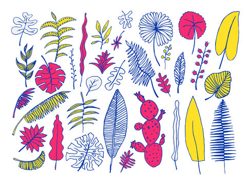 Vector set of bright tropical plants. Hand-drawn Leaves, Inflorescences, Flowers. Blue Yellow Pink colors