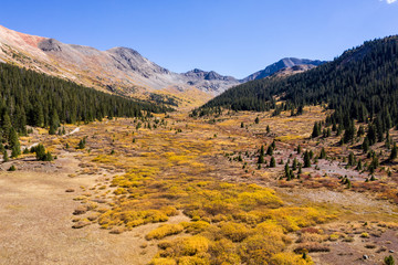 Aerial drone photo - Beautiful yellow Autumn colors in the Colorado Rocky Mountains.  Sawatch Range