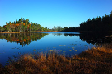 Fototapeta na wymiar Nature of Sweden in autumn, Calm lake Dodtjarnen with forest reflection, Peaceful outdoor image