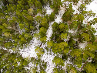 drone image. aerial view of rural area with fields and forests in snowy winter