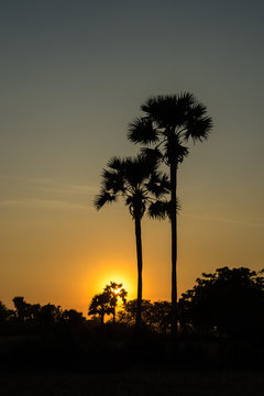Kambodscha  - Sonnenuntergang bei Siem Reap