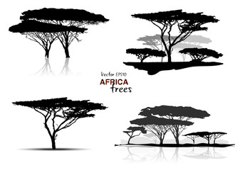 Silhouette of africa trees black on white background, vector illustration