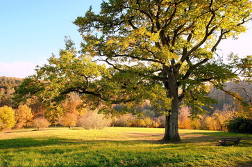 Obraz premium Herbst im Siebenmühlental bei Stuttgart