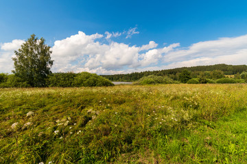 Grassy meadow and field under the cloudy summer sky. Czech landscape. Middle of Europe.