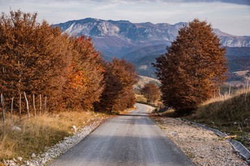 Naklejka na ściany i meble Empty asphalt road with autumnal trees and mountains in Bosnia