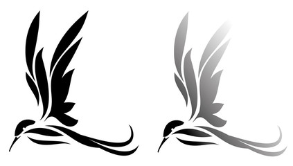 Sillhouette of bird, hummingbird illustration © kopecky76