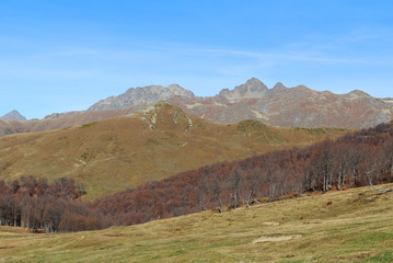 Panorama with yellow autumn hills and mountains. Abkhazia.