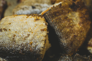 fried fish close-up