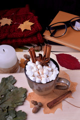 Hot chocolate with marshmallows, cinnamon and anise. Autumn composition