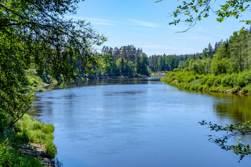 calm river with reflections of trees in water in bright green foliage in summer