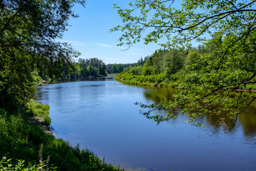 calm river with reflections of trees in water in bright green foliage in summer