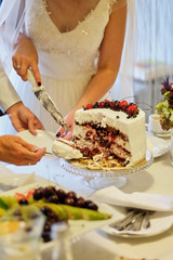 Obraz na płótnie Canvas Beauty bride and handsome groom are cutting a wedding cake. wedding