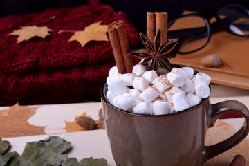 Hot chocolate with marshmallows, cinnamon and anise in a brown mug