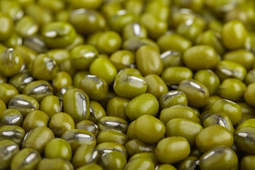 mung bean background