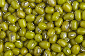 mung bean background