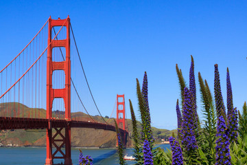 Golden gate bridge in San Francisco on blue sky 