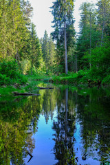 calm river with reflections of trees in water in bright green foliage in summer