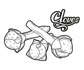 hand drawn cloves plant, spicy ingredient, cloves logo, healthy organic food, spice clove isolated on white background, culinary herbs, label, food, natural healthy food, vector graphic to design