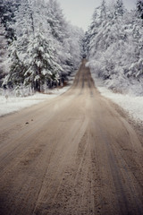 Winter landscape: the road through the snowy forest