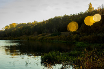 autumn landscape with trees