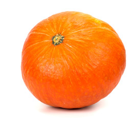 Pumpkin on white