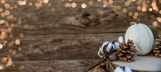 Fall Autumn Southern Decor on Wooden Background with Cotton and Pine Cones and a White Pumpkin