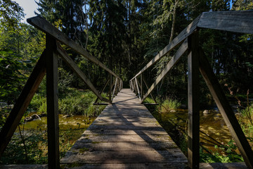 wooden plank bridge over water in forest