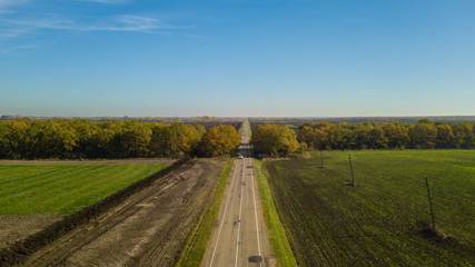 Aerial view of rural road with trees and fields. Sunny autumn day.