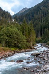 Stony rough mountain river in a background of a forest and mountains - 231738880