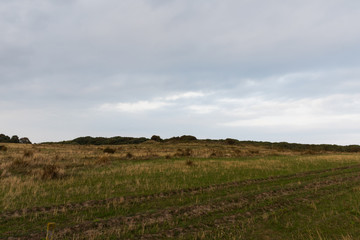 Green and brown field with a cloudy and gray sky