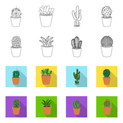 Vector design of cactus and pot logo. Collection of cactus and cacti stock vector illustration.