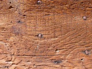 Background macro of an old solid wood front door with rusty iron nails. The surface of the tree is rough, ruined by time, brown