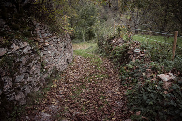 Concept follow the road marked. Path in natural landscape with autumnal colors.