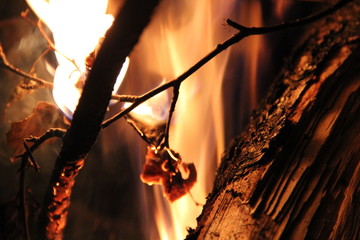  burning wood in fire
